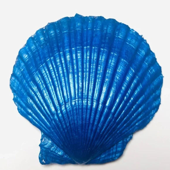 Handmade Scallop Shell Trinket Dish w/ seashell decoupage design. - Picture 3 of 3